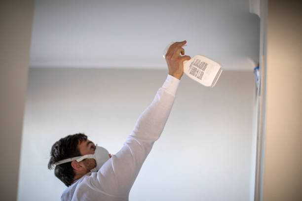Best Mold Removal Near Me  in Mount Vernon, GA