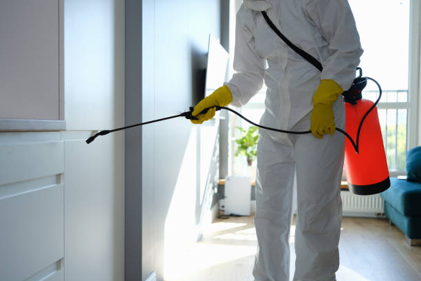 Best Home Mold Removal  in Mount Vernon, GA