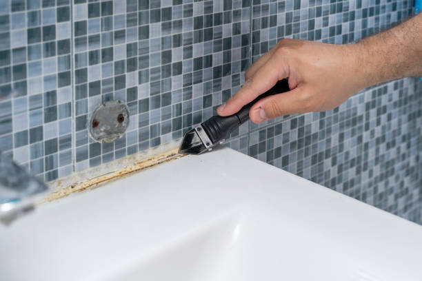 Best Local Mold Removal Service  in Mount Vernon, GA